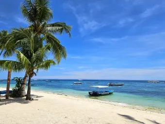 필리핀 보홀여행 패키지 여행 필수 코스_5