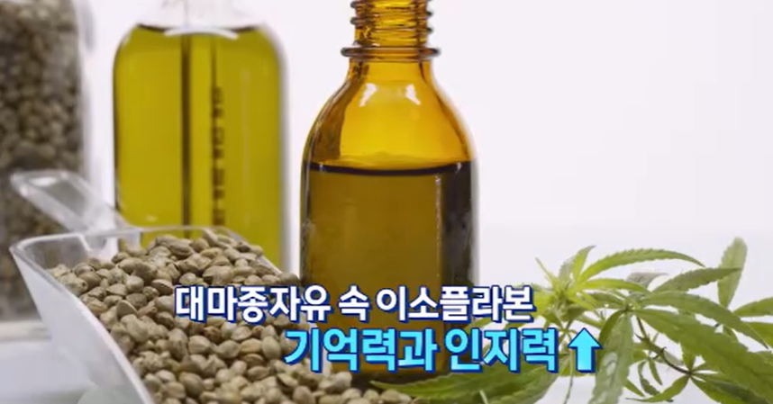 대마종자유 효능