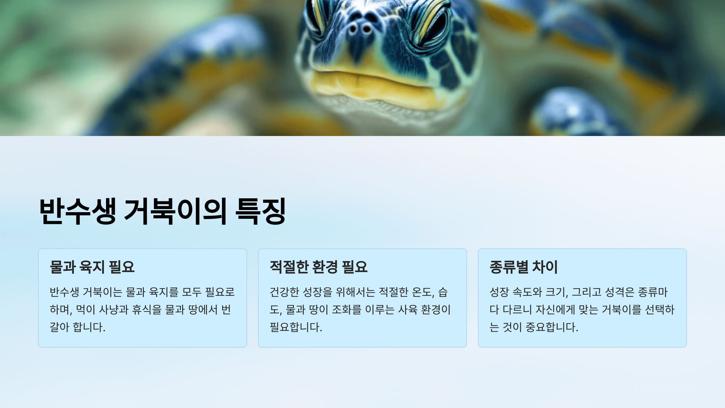 반수생 거북이 사진입니다.