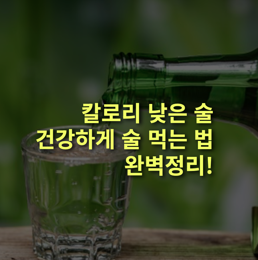 칼로리 낮은 술은? 술자리에서 칼로리 부담 낮추는 방법!