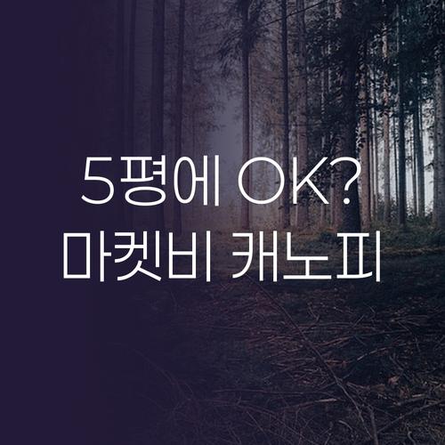 내돈내산 마켓비 캐노피! 5평 방에 ..