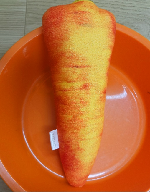 당근 키우기&middot;성장과정&middot;수확 과정 알아보기