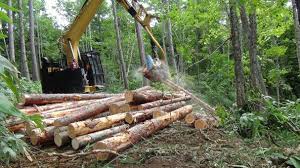 임업경영체 등록의 혜택