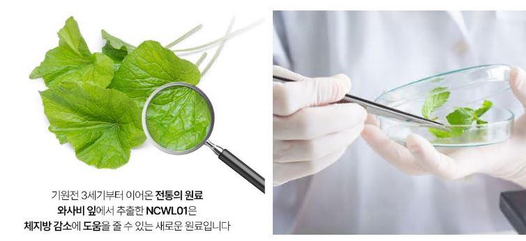 소우코우이소비텍신 다이어트