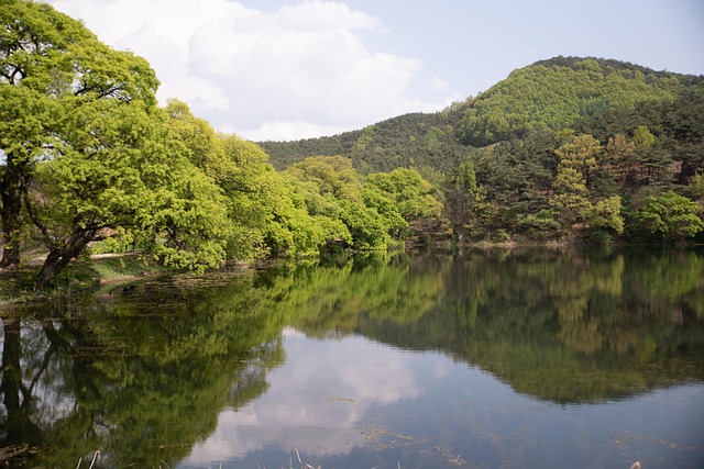 6시 내고향 경북영천