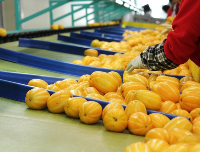 참외 효능 부작용