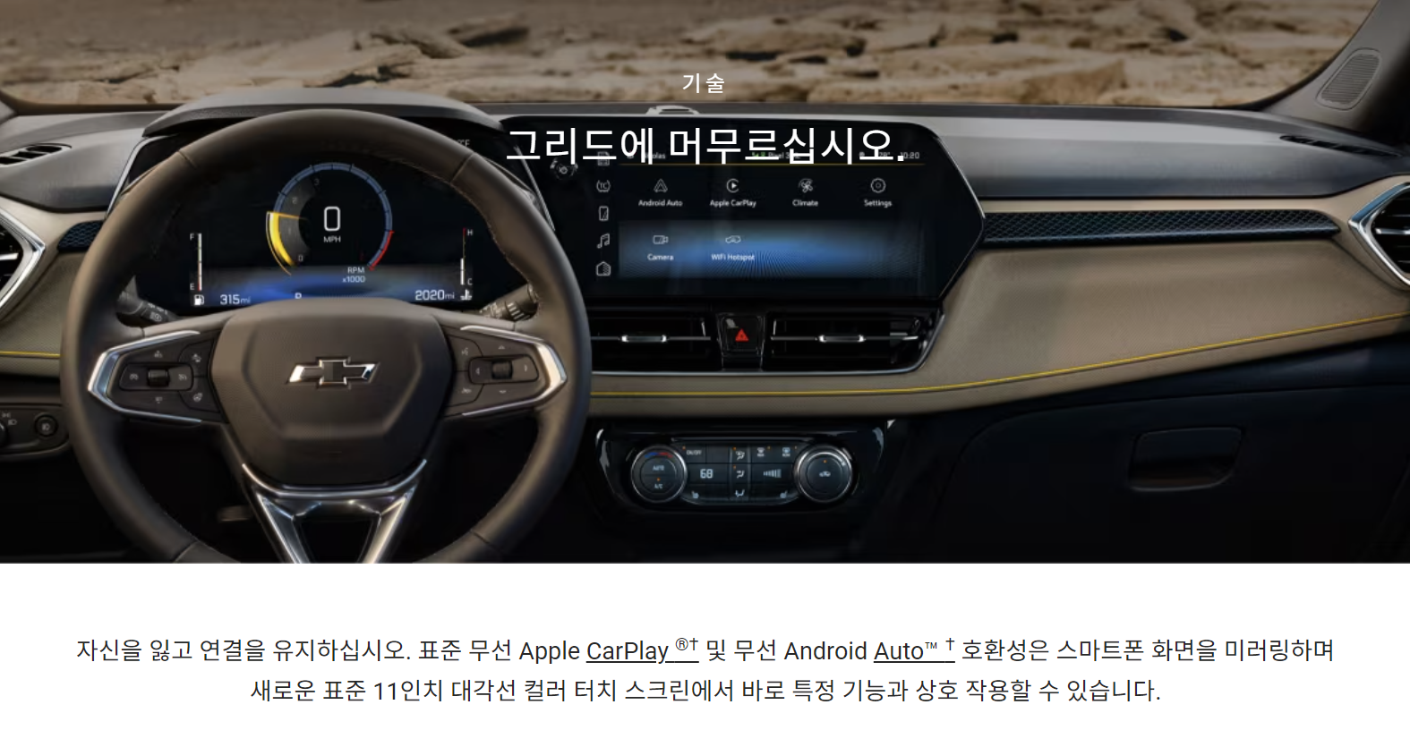 트레일 블레이저