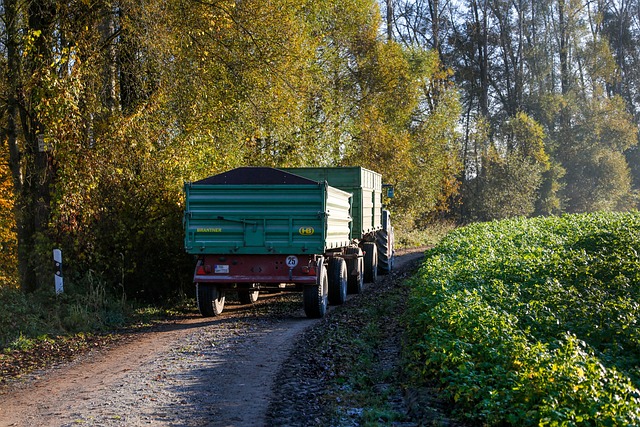 현황도로, 사실상 도로 인정될까?
