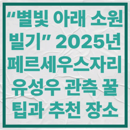 “별빛 아래 소원 빌기”
2025년 페르세우스자리 유성우 관측 꿀팁과 추천 장소