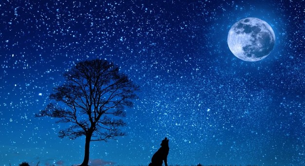 2023년 에너지바우처 지원금액 단가 인상