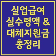 실업급여 실수령액&amp;대체지원금