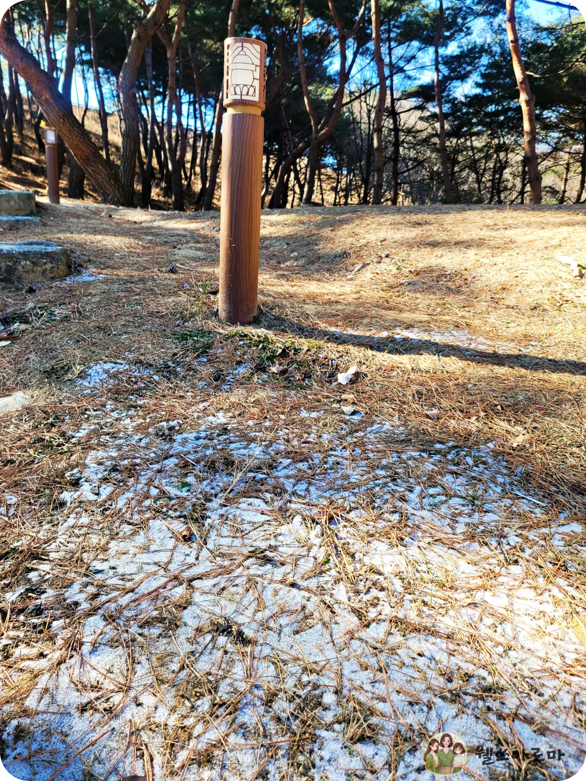 세종대왕자태실-언덕에남은-하얀눈-가운데가로등