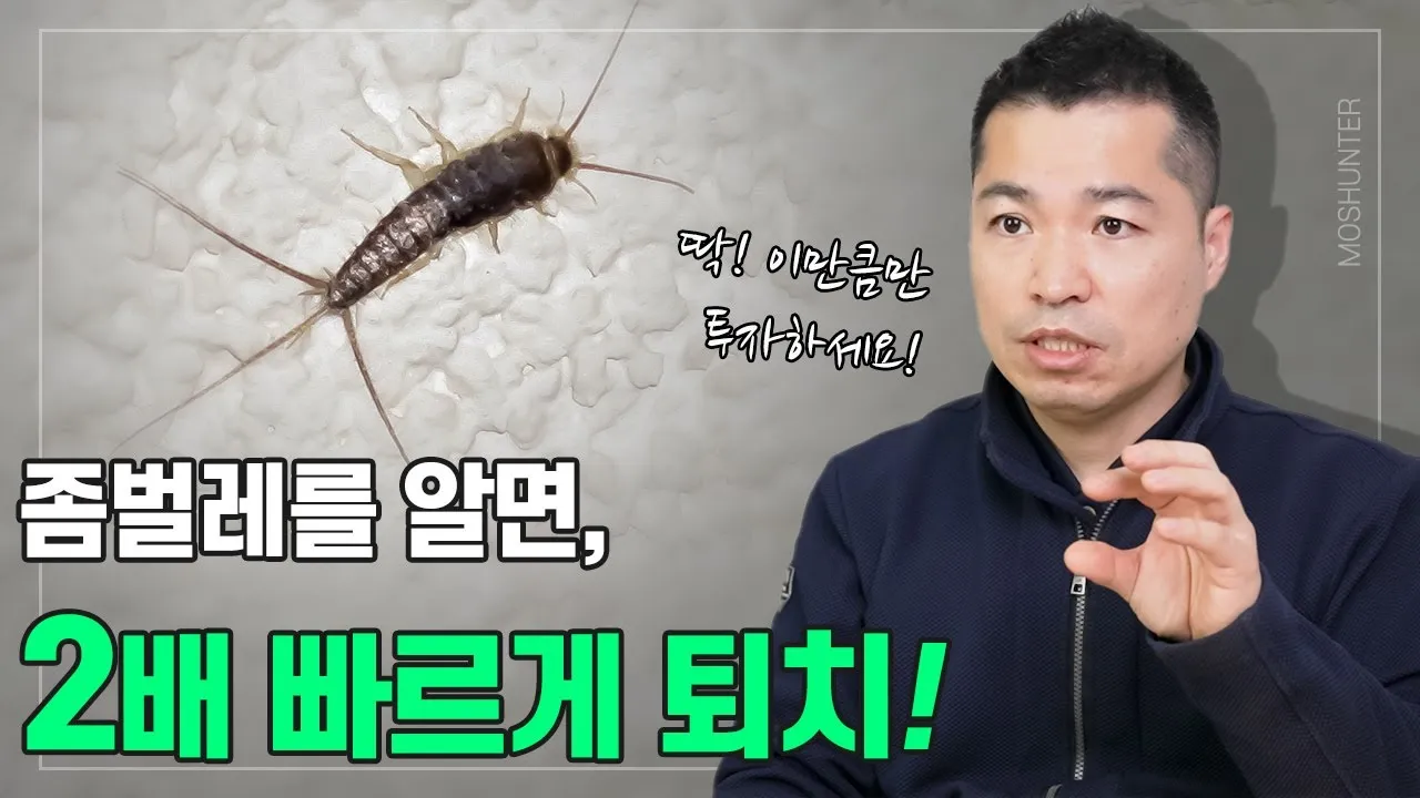 좀벌레 생기는 원인과 퇴치법 하얀벌레 제거 방법_5
