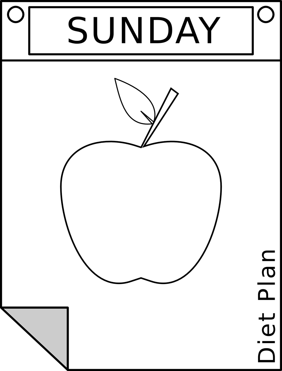 지속-가능한-다이어트-성공-위한-5가지-방법