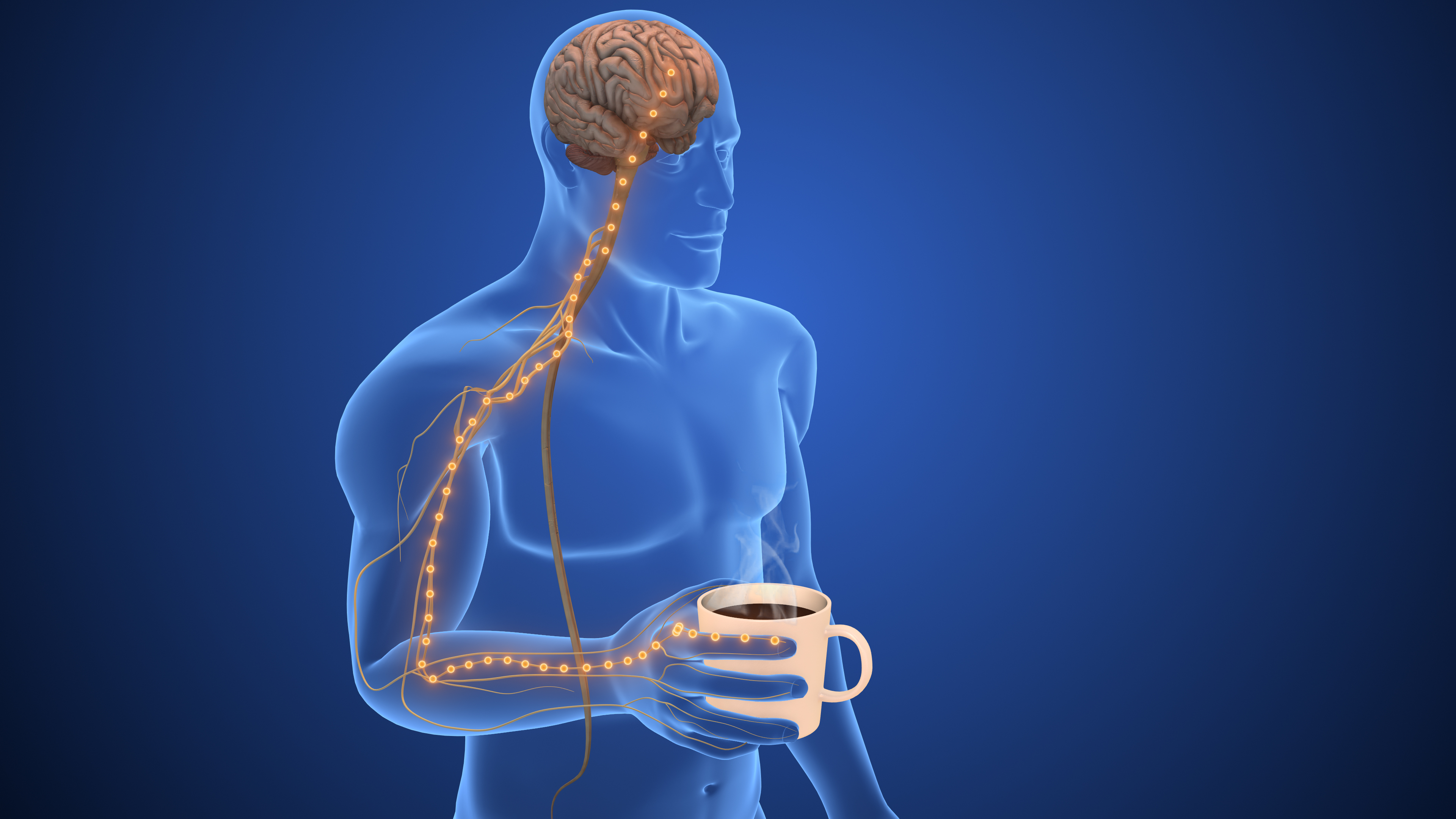 신경가소성: 뇌는 변할 수 있다