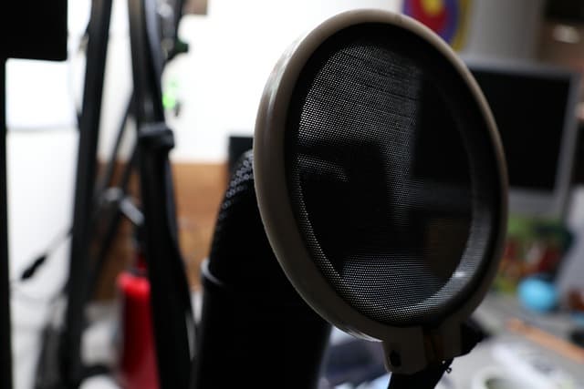 인간은 왜 자기 목소리를 어색하게 느낄까?― 귀와 뇌, 그리고 자아 인식의 어긋남