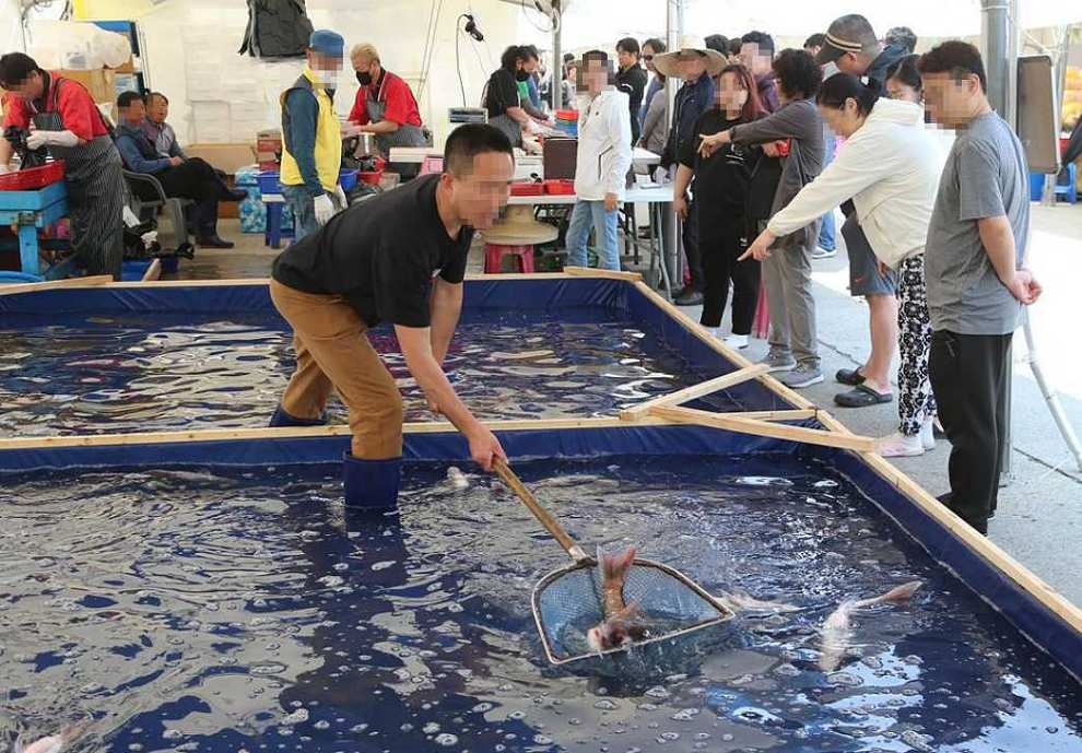 서천 자연산 광어 도미 축제 기본정보