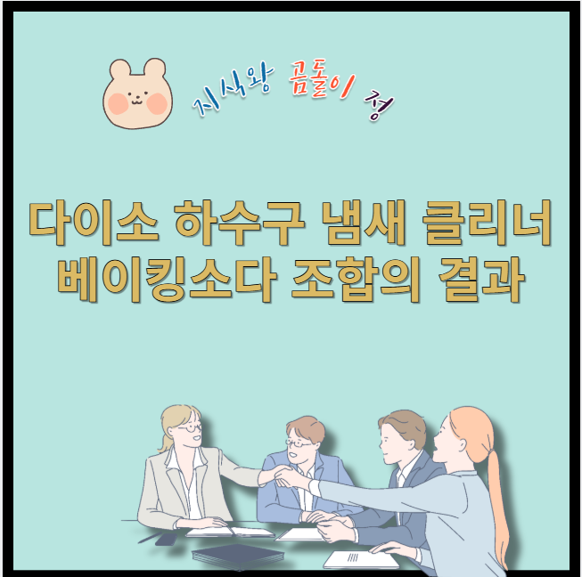 다이소 하수구 냄새 클리너 베이킹소다 조합의 결과