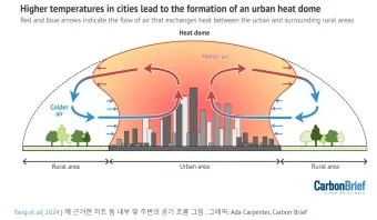 열섬 현상 도심 그늘길 이른 외출 수분 보충 습관_10