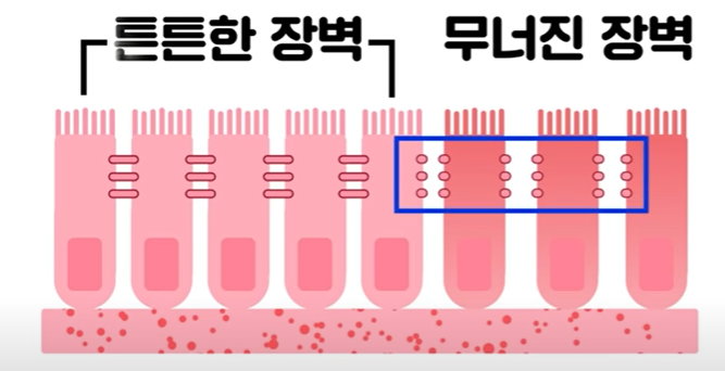 튼튼한 장벽과 무너진 장벽