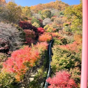 화담숲 예약하기 화담채 예약으로 절차정리_12