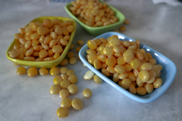 🔥 “루피니빈, 이거 하나면 혈당·다이어트·면역력까지 해결!” 실사용 후기+꿀팁 공개