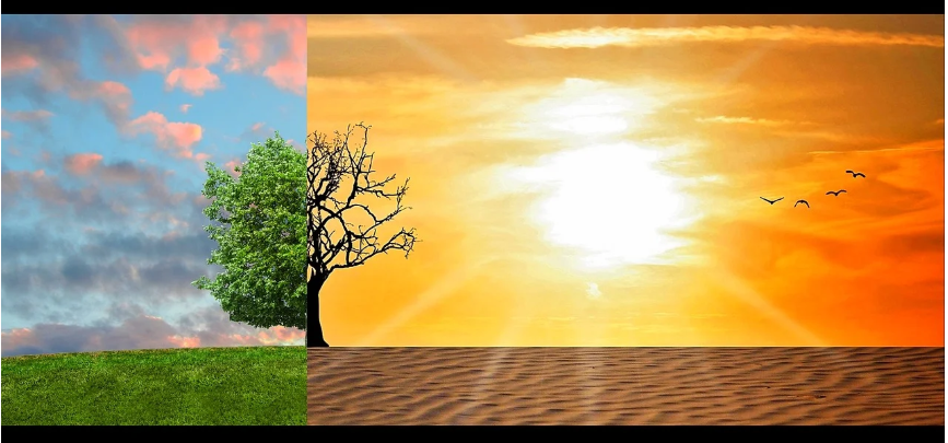 기후 변화, 지구 온난화, 기후 이미지.