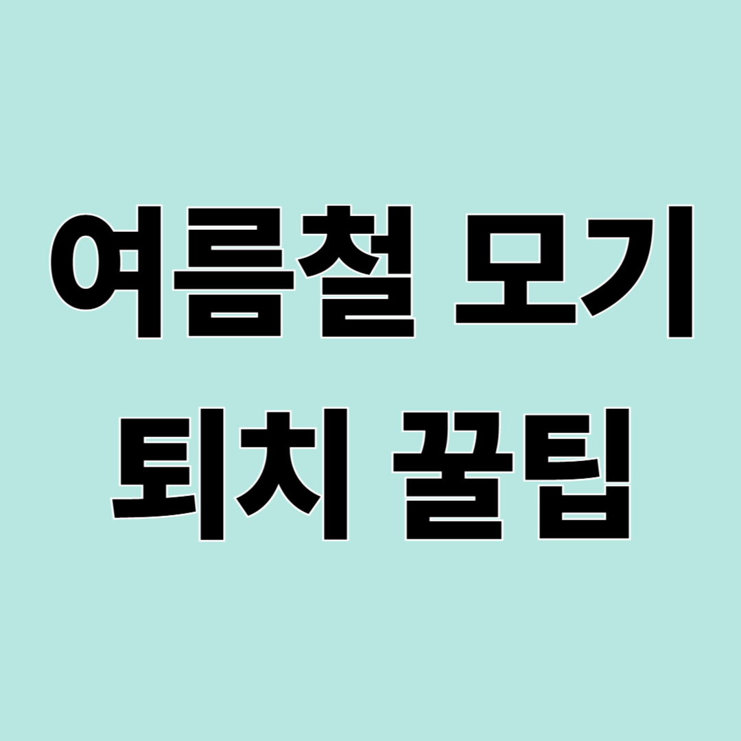 모기 퇴치 방법 총정리 – 여름철 모기 안 물리는 생활습관
