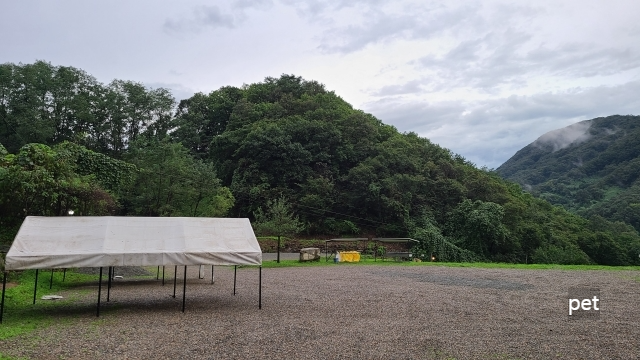경기-연천-숲속의쉼터-캠핑장-예약-방법-애견-동반-가격-주소-시간-후기