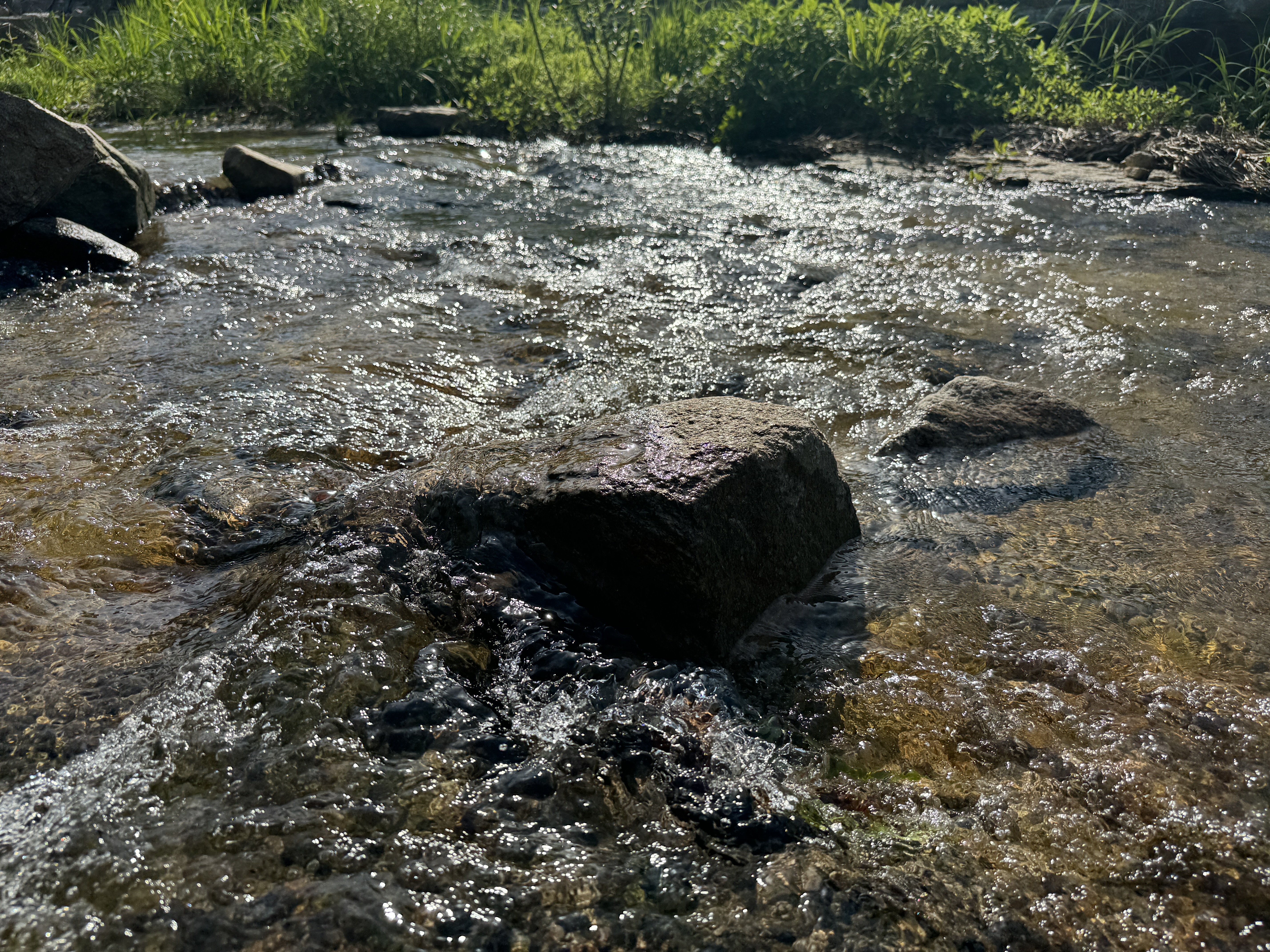 무수골계곡-맑은물