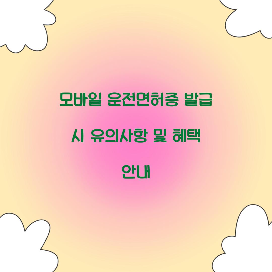 모바일 운전면허증 발급