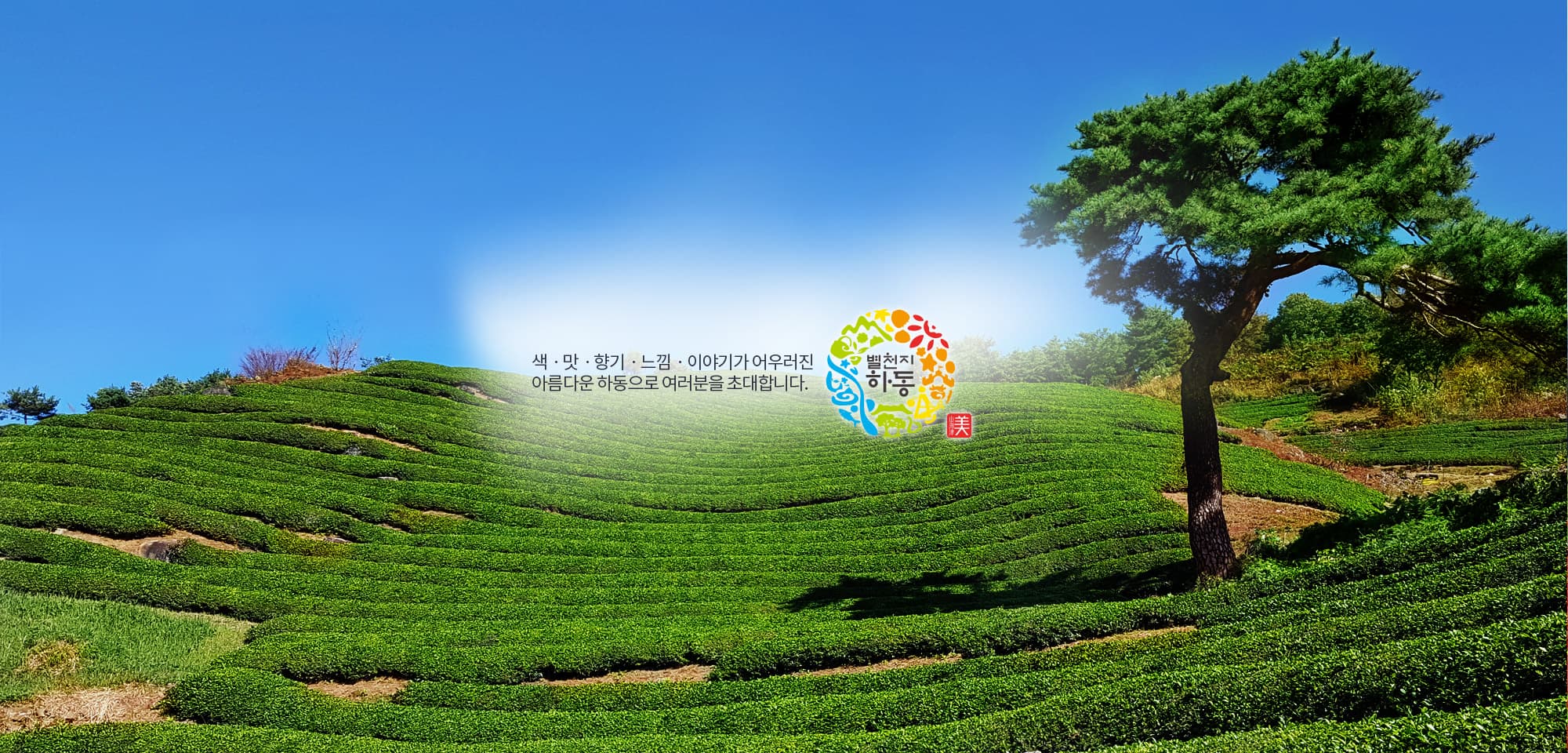 [5월 축제]2025 하동야생차문화축제❘기간, 일정, 체험 프로그램, 공연 정리