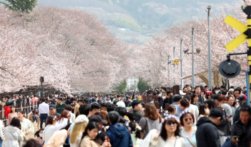 알트태그-군항제 관광객 모습