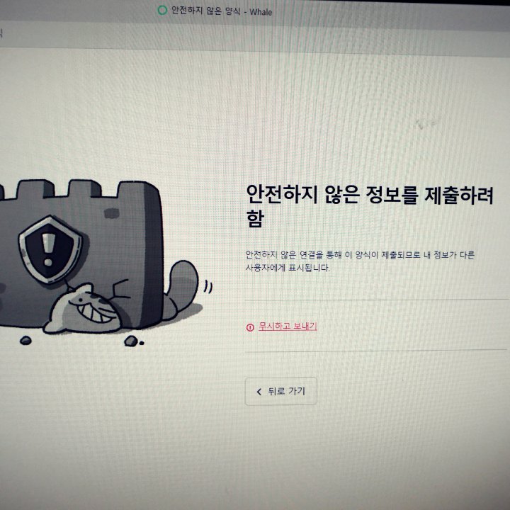 안전하지 않은 정보를 제출하려 함-무시하세요