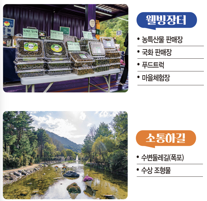 메인 꽃 밭 안내 1