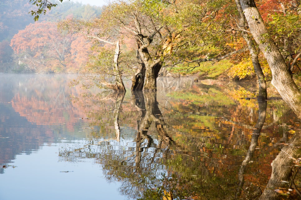 2024 가을 단풍 명소 7곳 소개