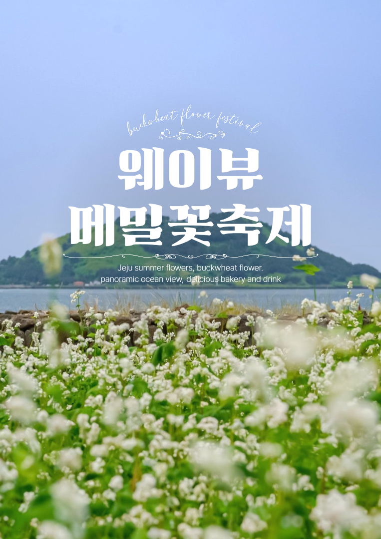 2025 웨이뷰 메밀꽃 축제