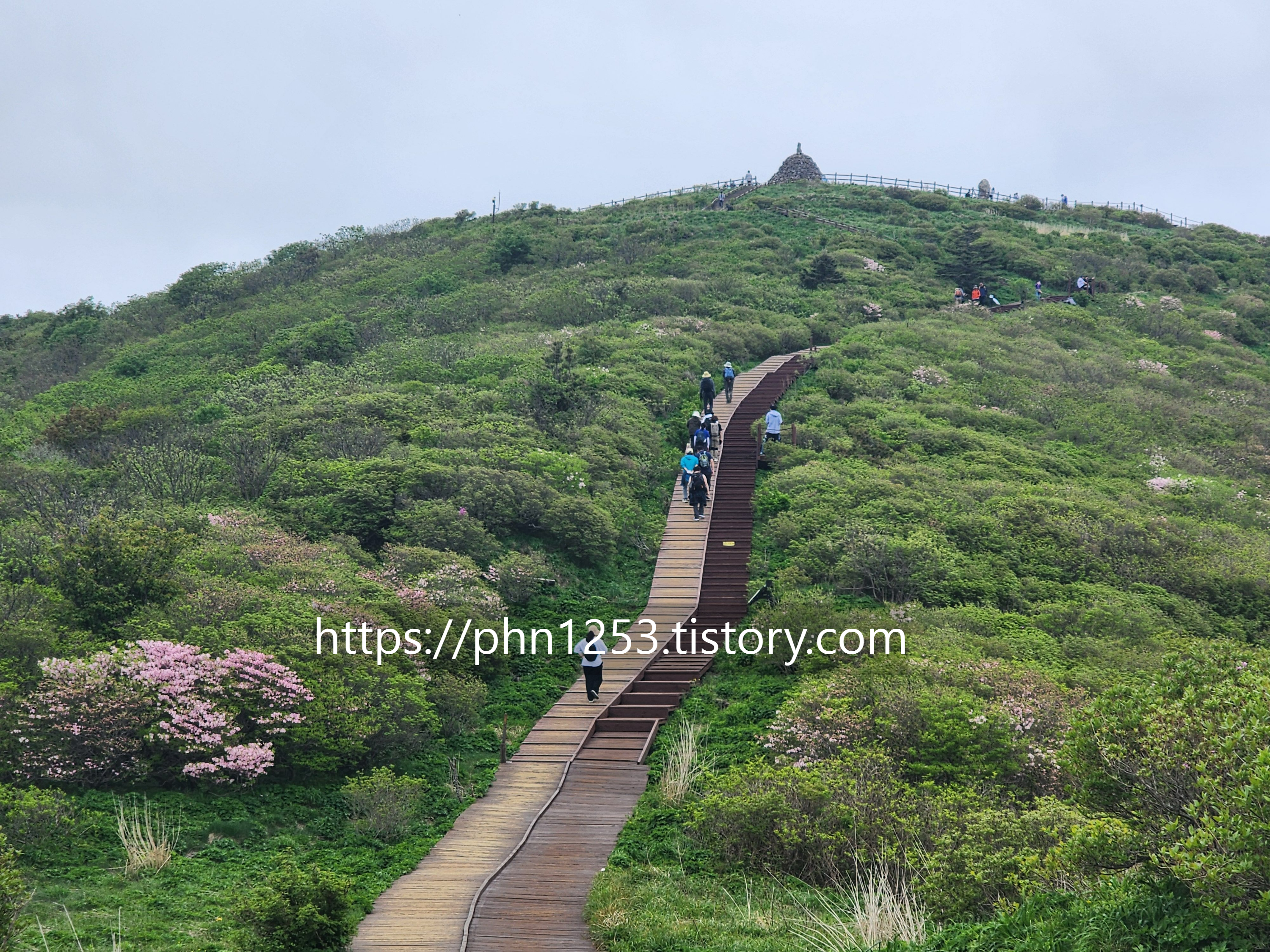 Alt 속성 문제 해결 설명 이미지