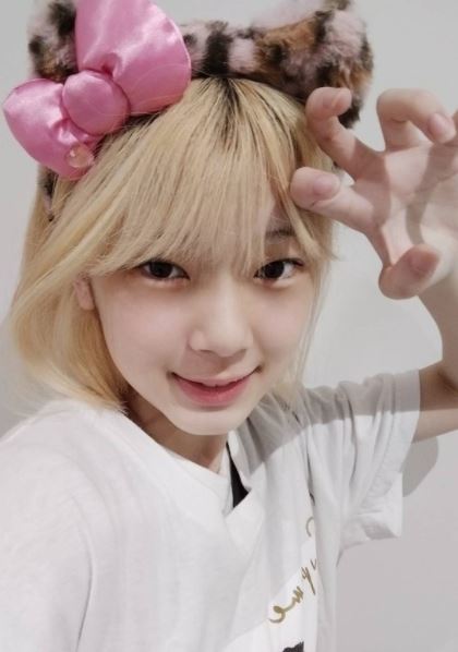 유니스 코토코 병원 유니버스 티켓 멤버