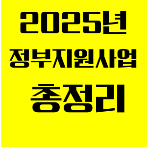 2025년 정부 지원사업 총정리