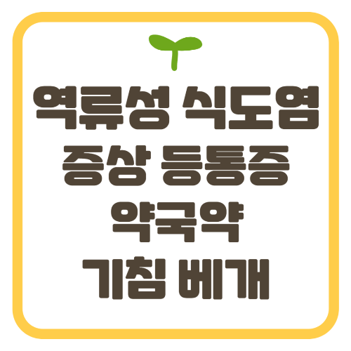 역류성 식도염 증상 등통증 약국약 기침 베개