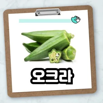 오크라 효능 재배법 손질 수확 요리 보관까지 한눈에 보기_16