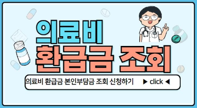 의료비 환급금 조회 공식 가이드 (2024)