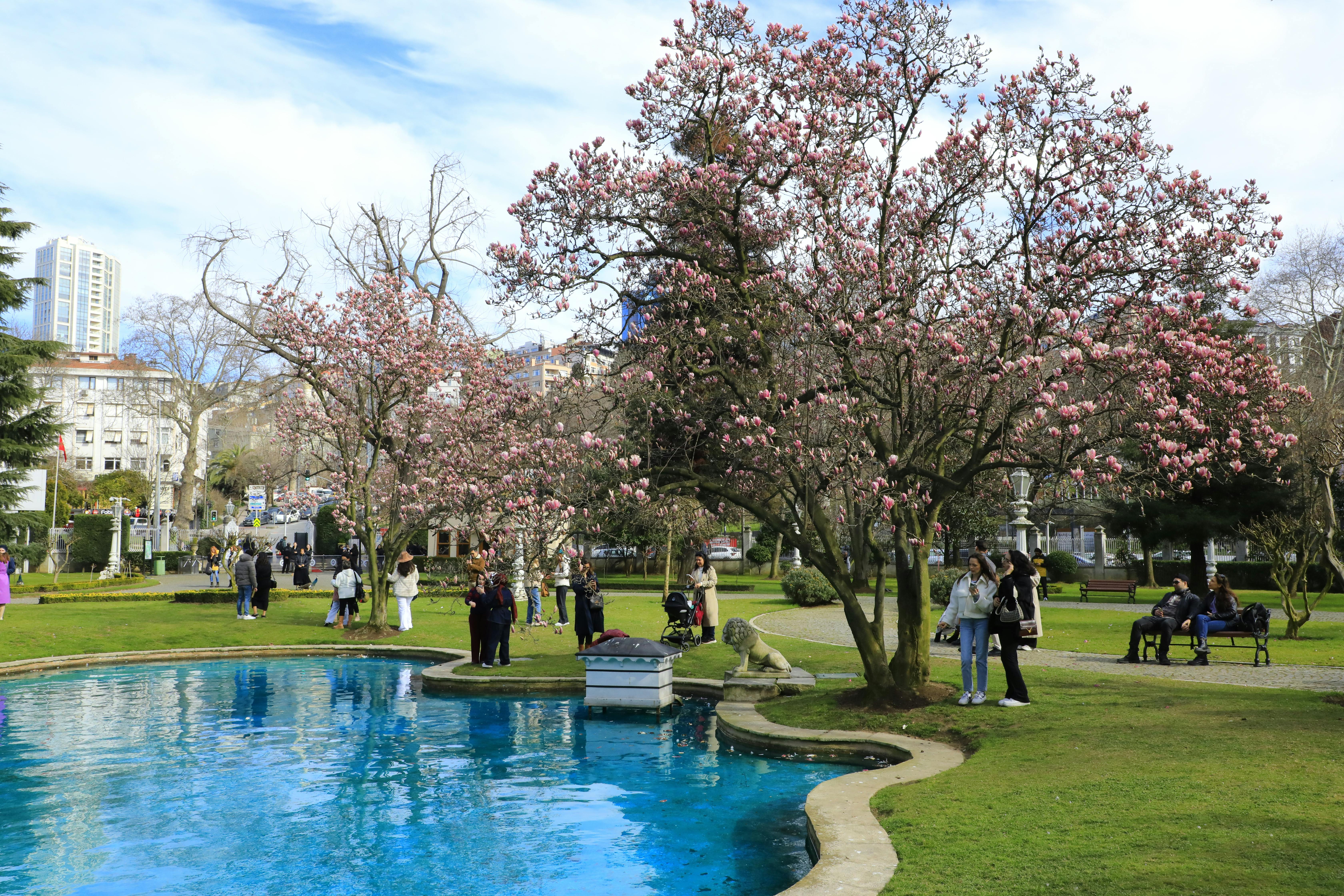 봄꽃 개화 시기