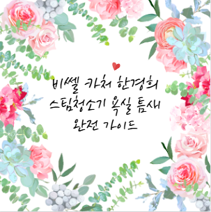 비쎌 카처 한경희 스팀청소기 욕실 틈새 완전 가이드