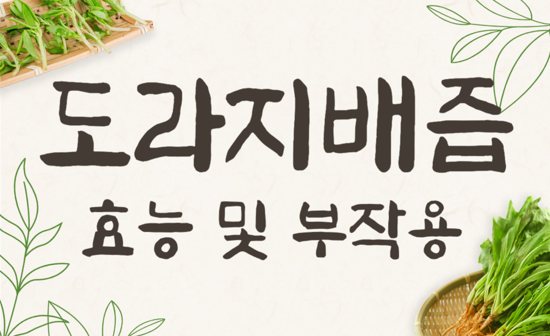 도라지배즙 부작용 걱정된다면? 효능과 함께 정확히 알려드립니다