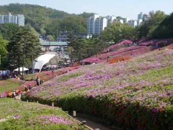 군포 가볼만한곳 베스트10 현지인 추천 필수코스_16