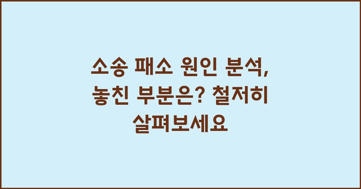 소송 패소 원인 분석: 놓친 부분은?