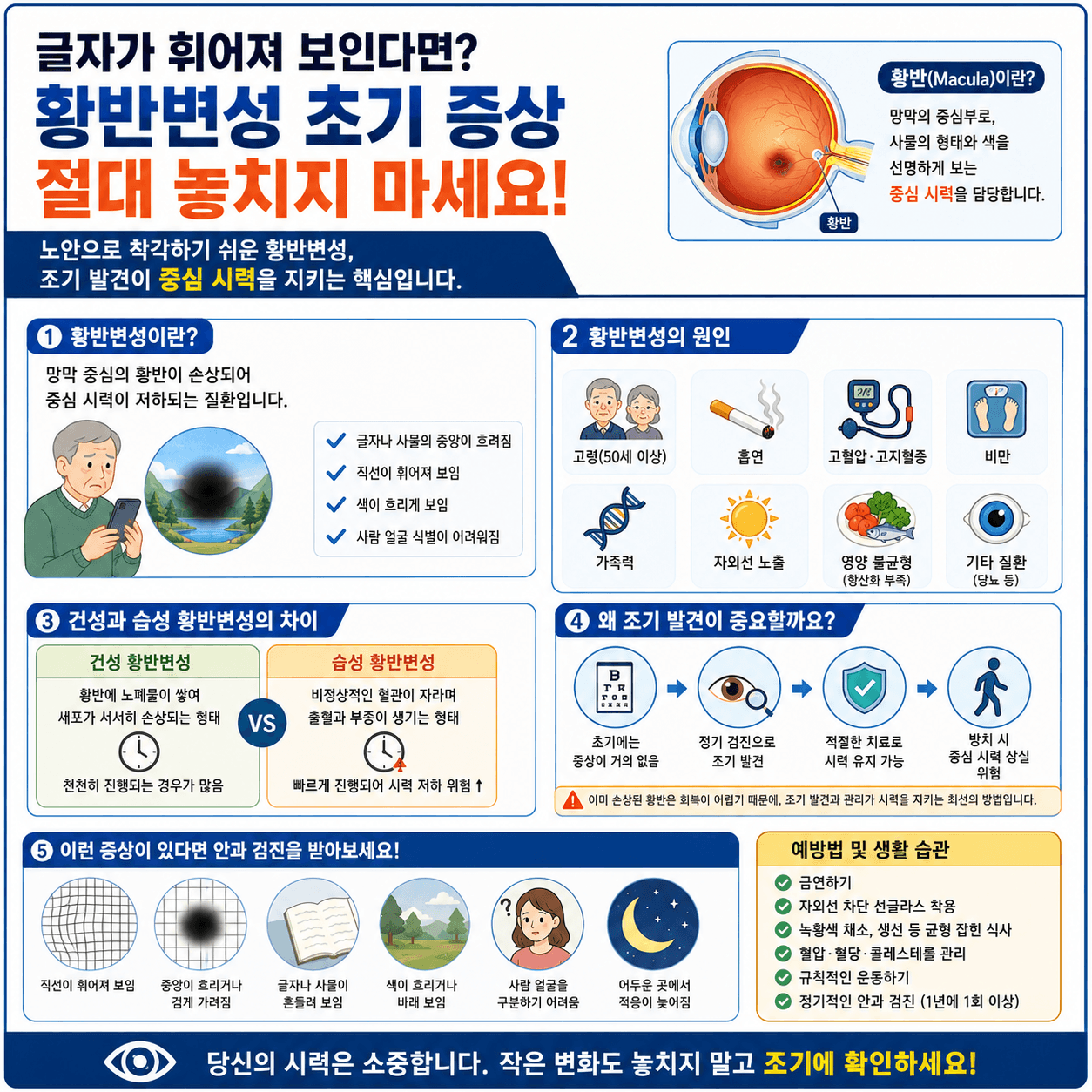 황반변성 초기 증상인 글자가 휘어져 보임, 중심 시야 흐림, 암슬러 격자 자가진단과 예방법을 설명하는 건강 인포그래픽