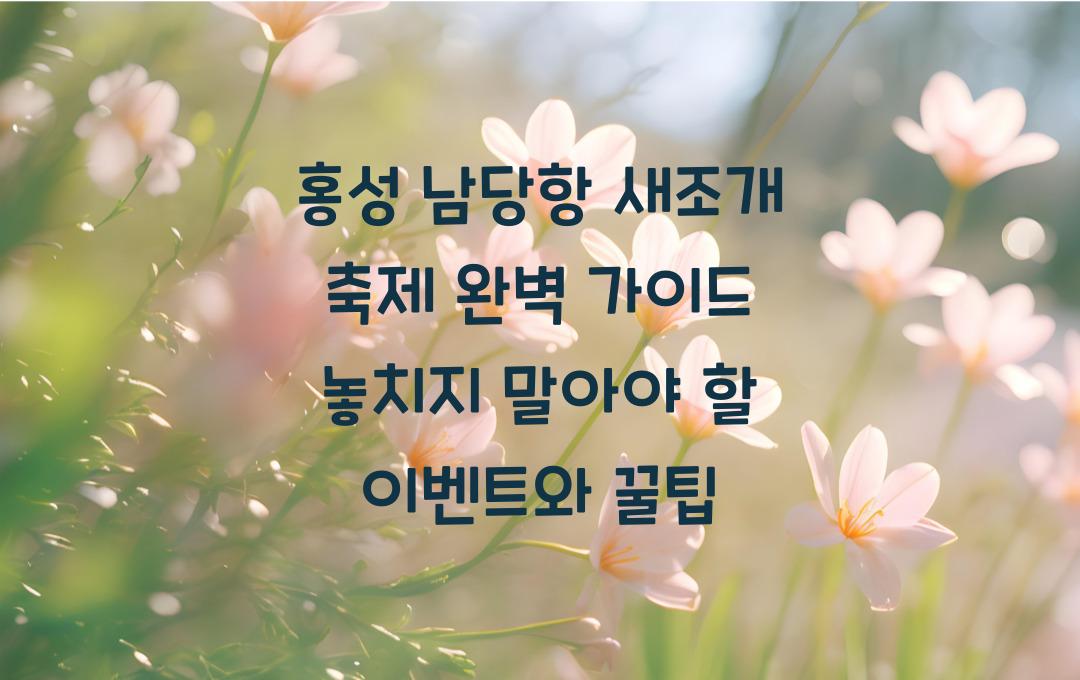 홍성 남당항 새조개 축제 완벽 가이드! 방문 전 필독